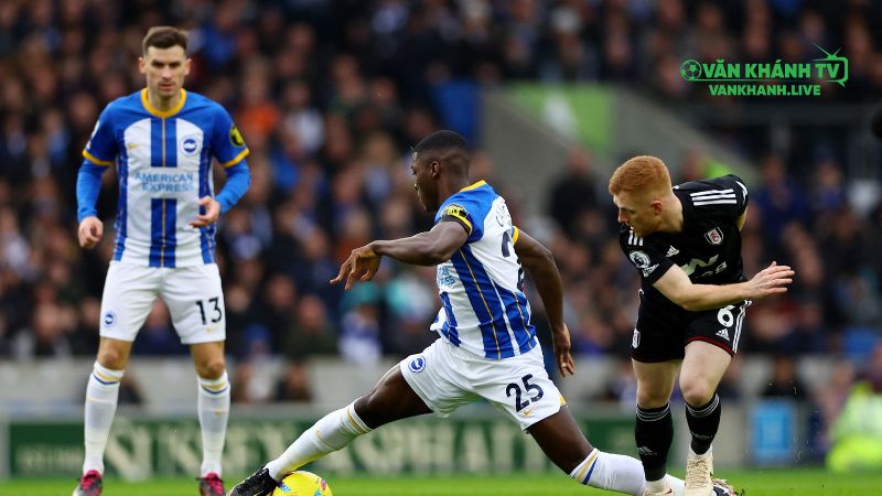 Brighton duy trì đội hình ổn định, sẵn sàng cho trận đấu với Fulham