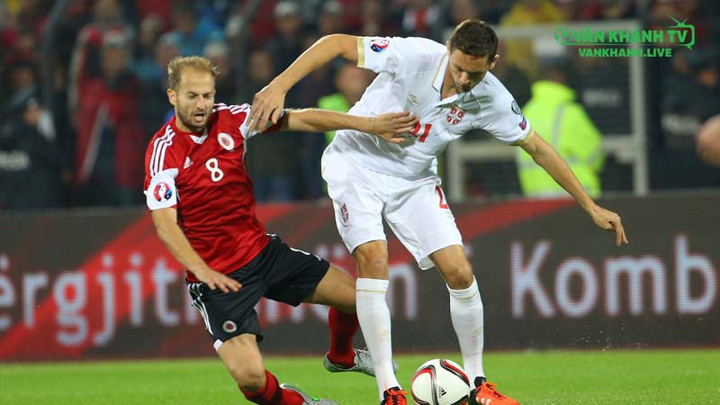 Serbia mang tới đội hình chất lượng với Vlahovic và Mitrovic lĩnh xướng hàng công.