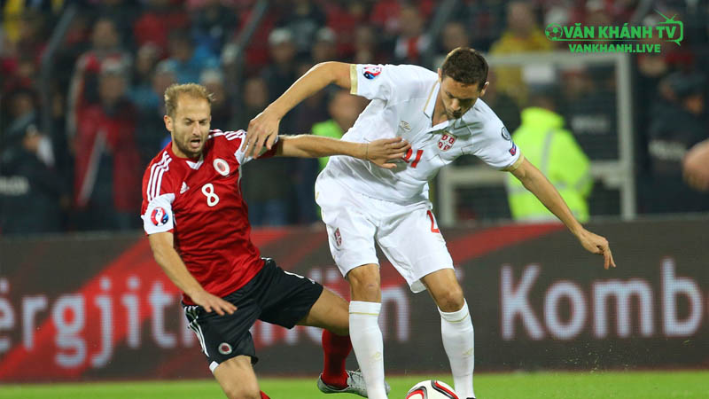 Tam Sư hành quân đến Belgrade – Kane cùng đồng đội đối diện thử thách lớn.